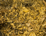 CORN SILAGE