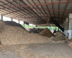 WOOD CHIP