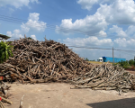 WOOD CHIP