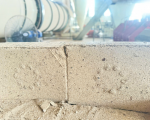 PINE WOOD SAWDUST