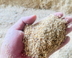 PINE WOOD SAWDUST