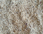 PINE WOOD SAWDUST