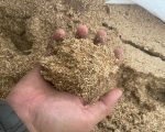 MIX WOOD SAWDUST