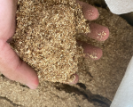 MIX WOOD SAWDUST