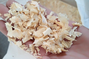 PINE WOOD SHAVING