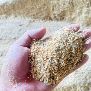 PINE WOOD SAWDUST