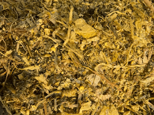 CORN SILAGE