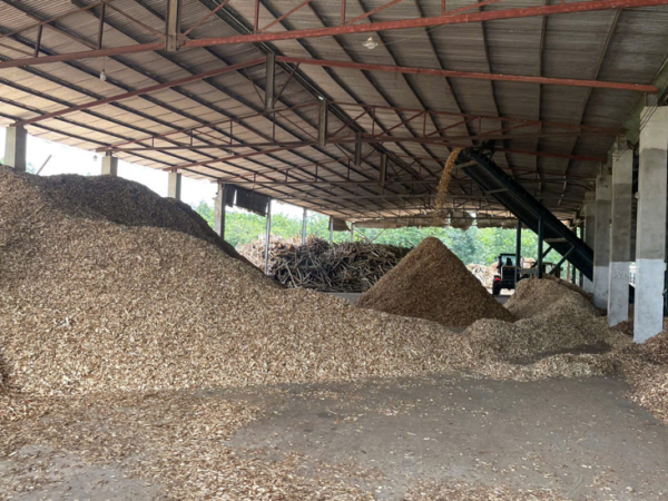 WOOD CHIP