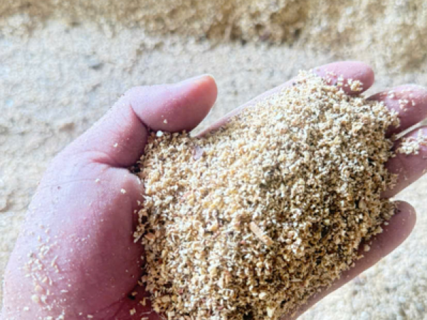 PINE WOOD SAWDUST