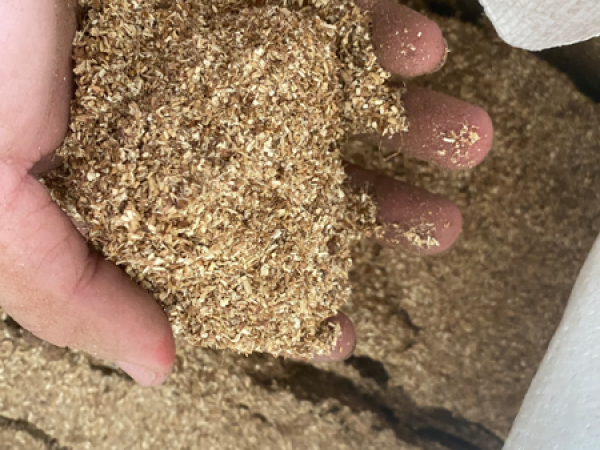 MIX WOOD SAWDUST